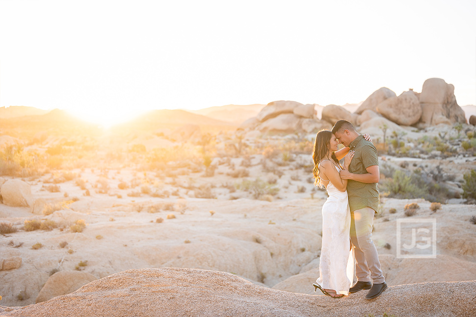 Joshua Tree Sunset Flares