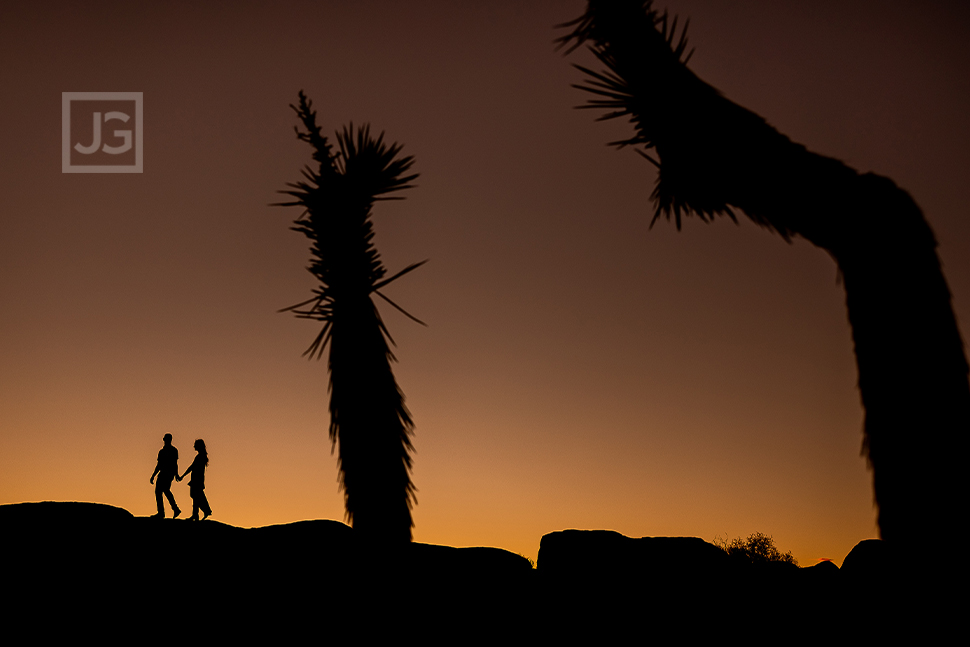 Silhouette in Joshua Tree