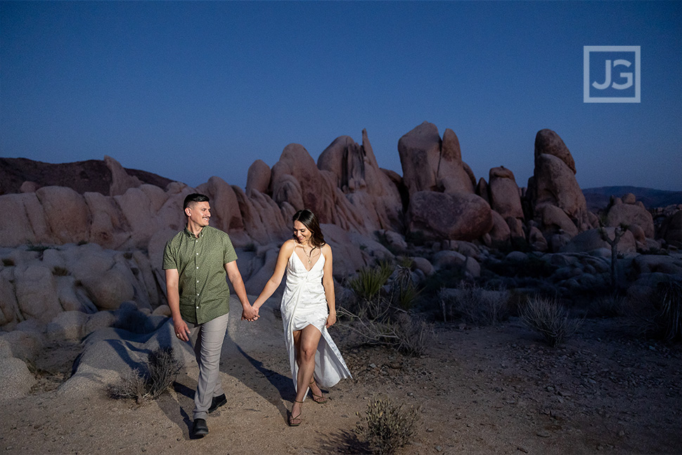 Joshua Tree after Dusk