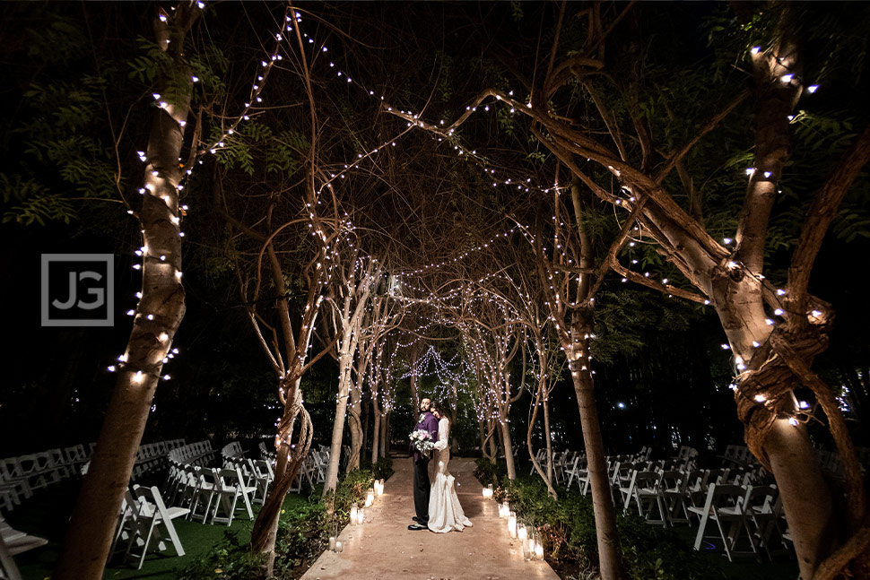 Botanical Garden at Night