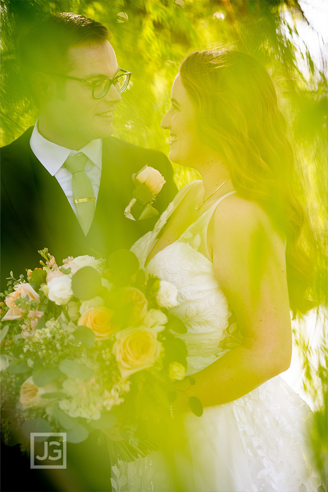 Couple in the willow tree