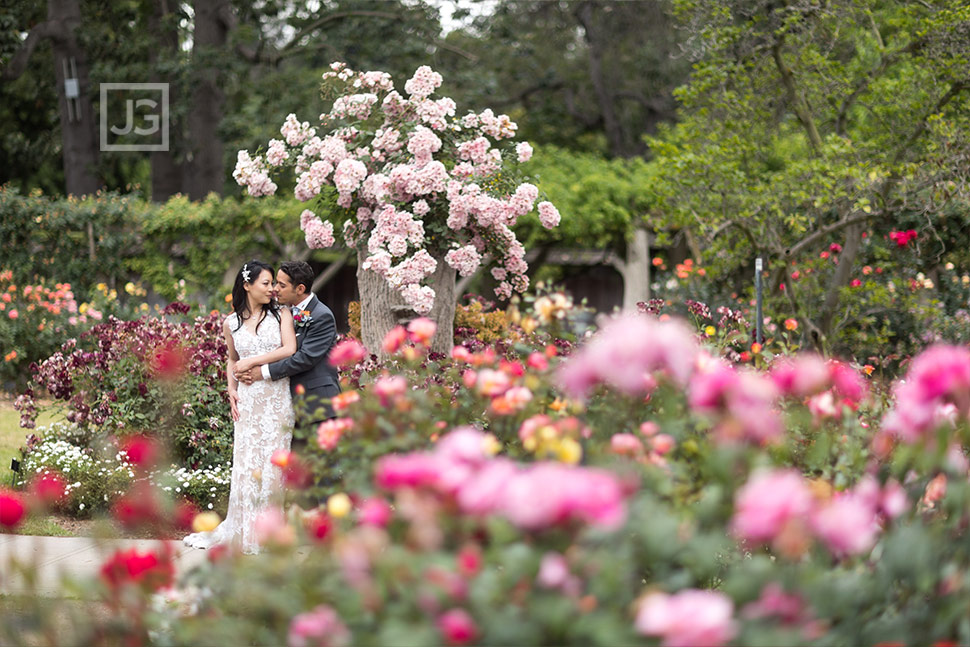 Wedding Photos in the Huntington Library Rose Garden