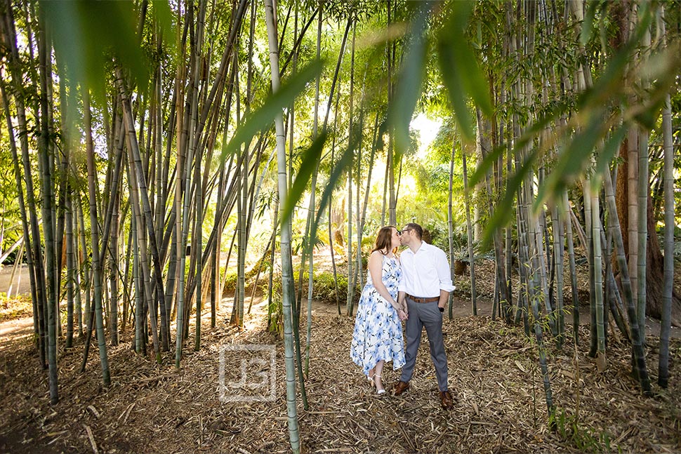 Bamboo Forest Engagement Photos