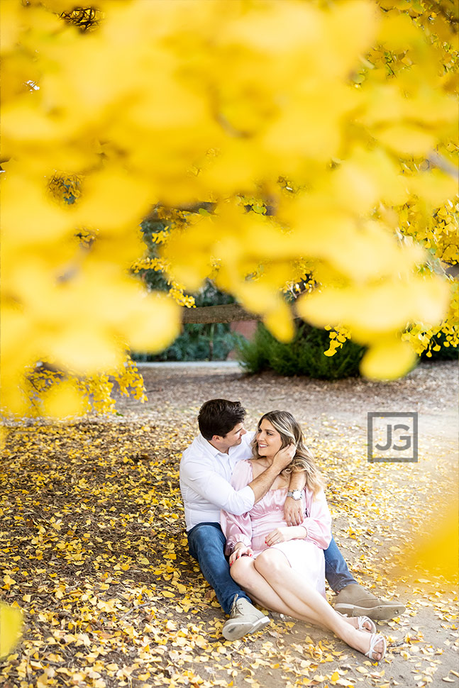 Yellow Leaves on a Tree