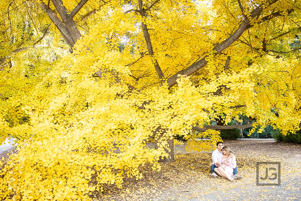 Engagement Photos Arcadia