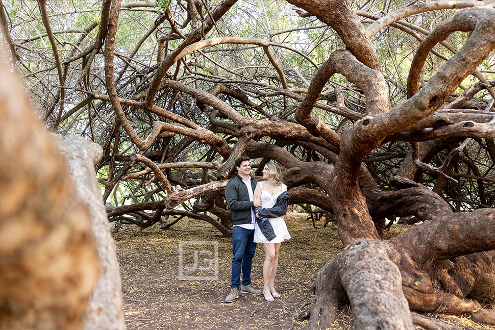 LA Arboretum Engagement Photos