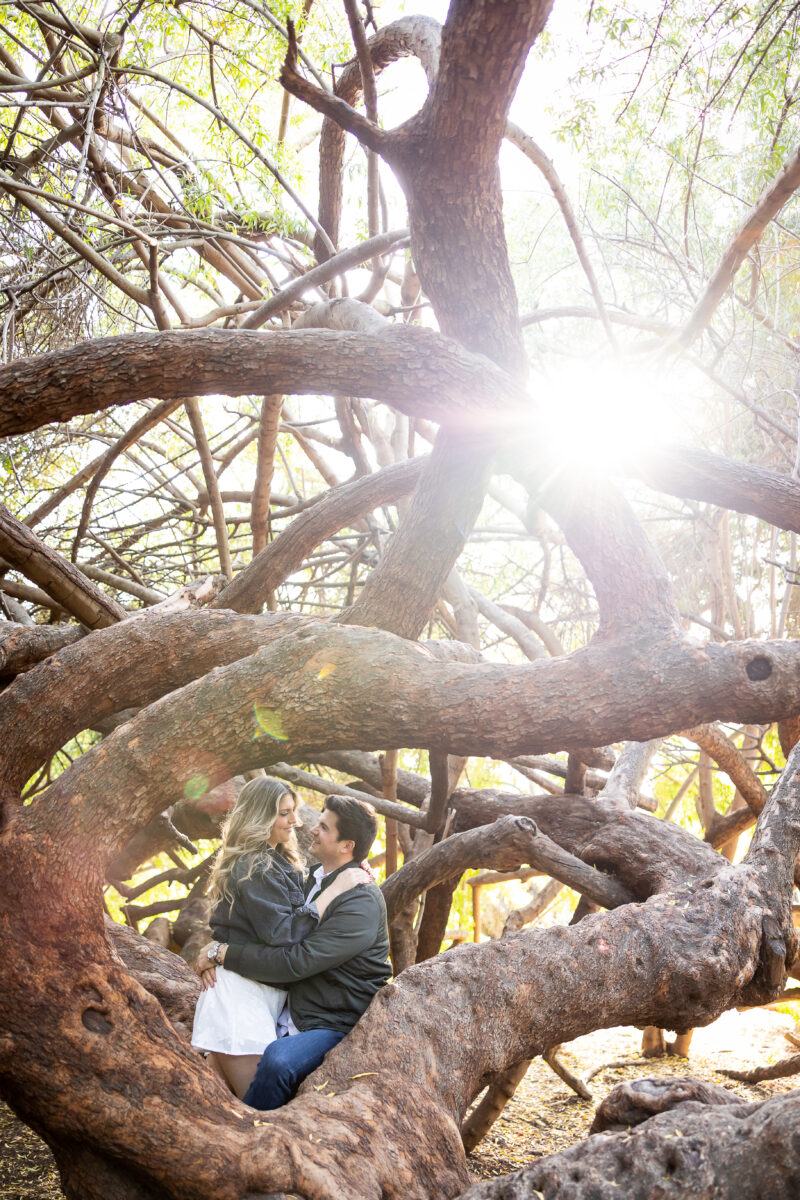 Engagement Photos with Trees