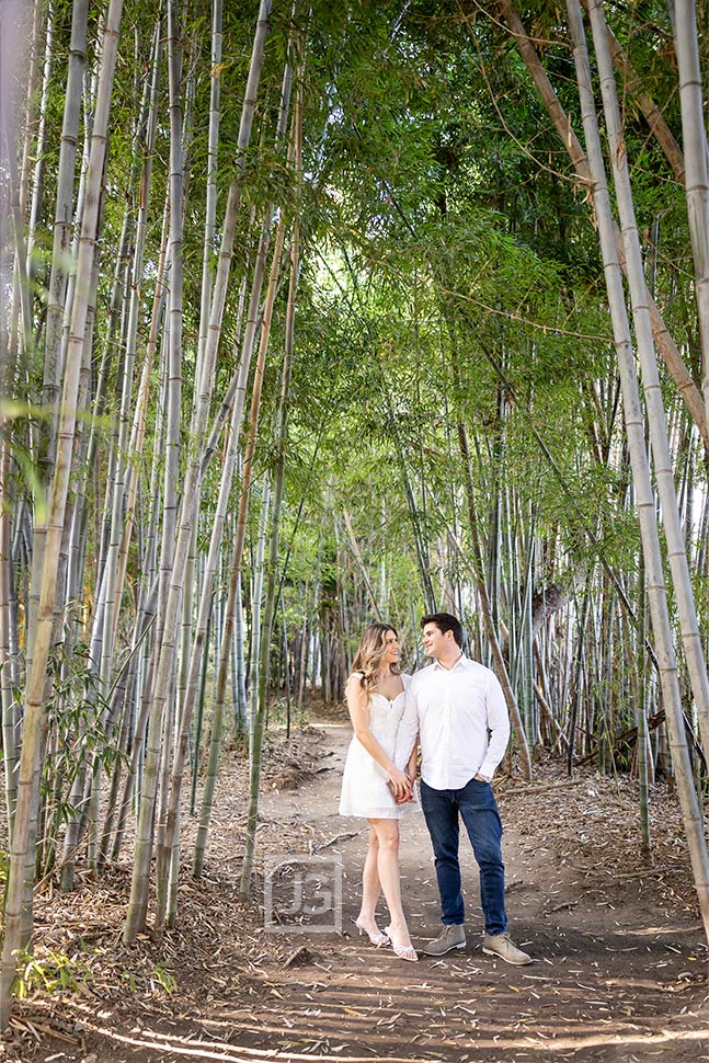 Bamboo Forest Engagement Photos