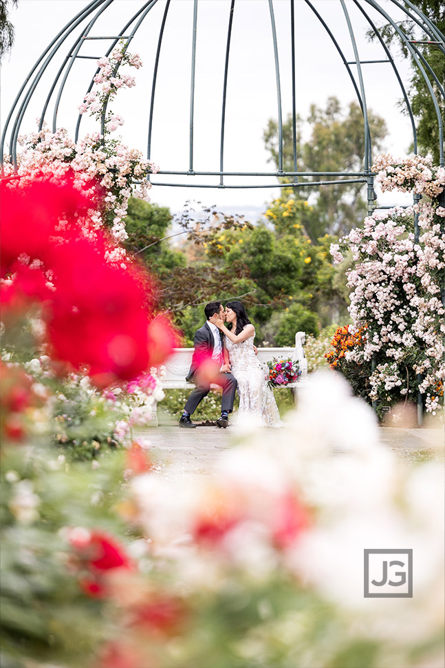 Huntington Library Rose Garden