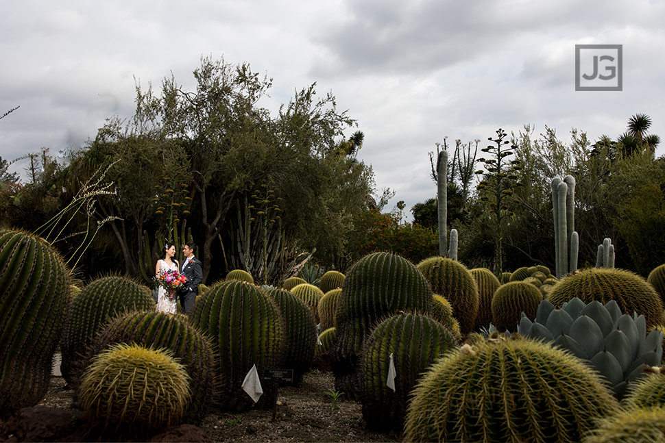 Huntington Library Cactus Garden Wedding Photos