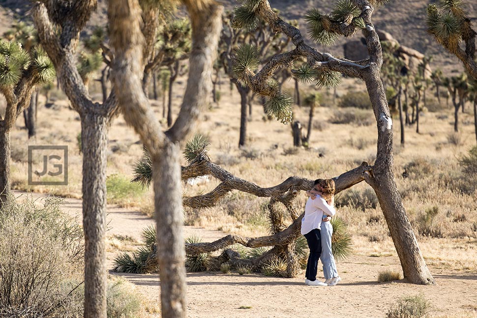 Joshua Tree Real Proposal