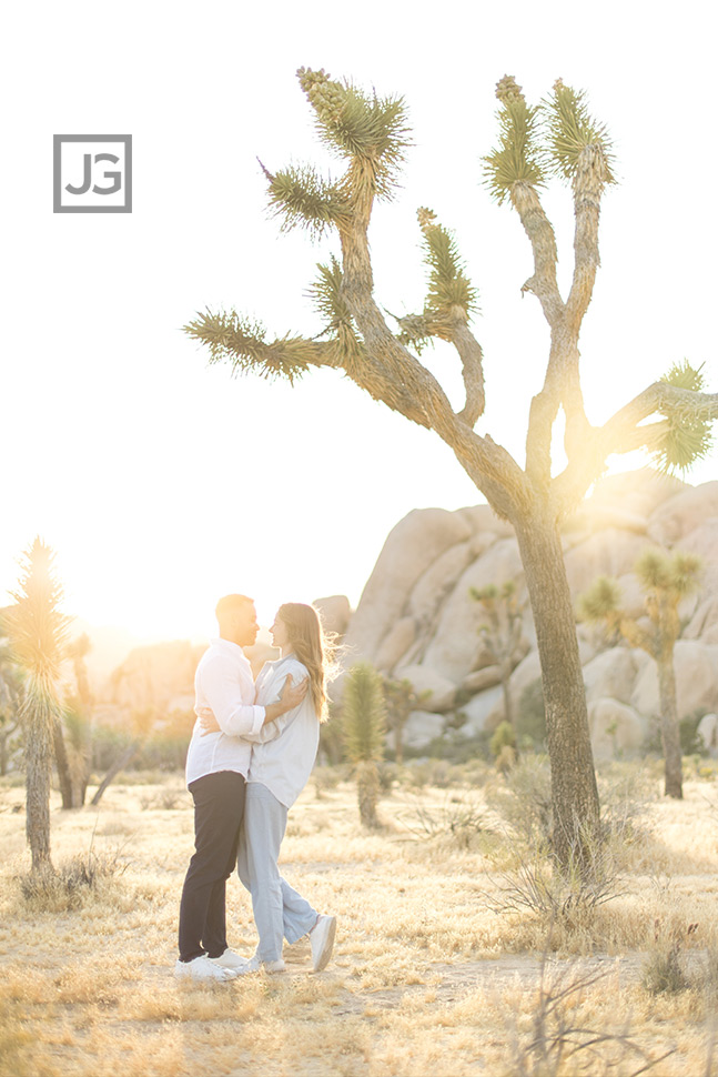 Engagement photo with a joshua tree