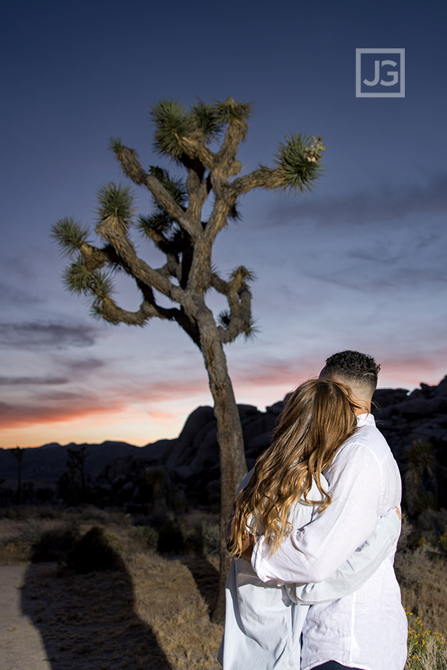 Looking at the sunset with joshua trees