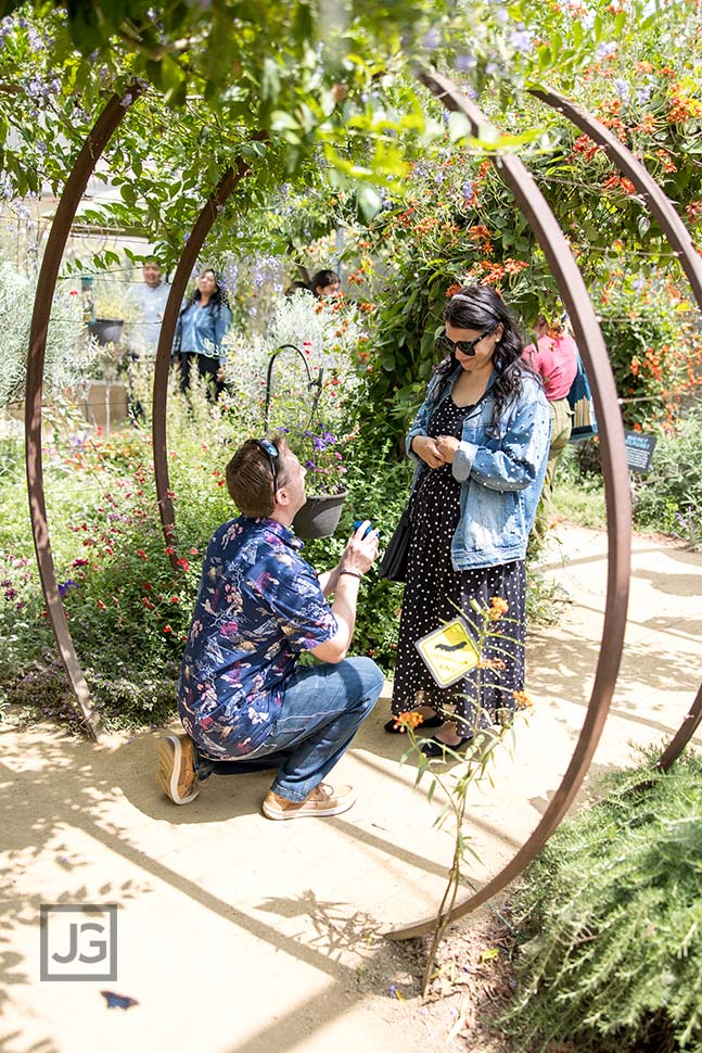 Proposal in the Butterfly Garden