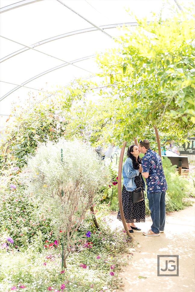 Butterfly Garden at the Natural History Museum