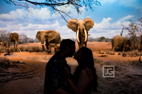 Read more about the article Natural History Museum Proposal |  Butterfly Garden Engagement Photos