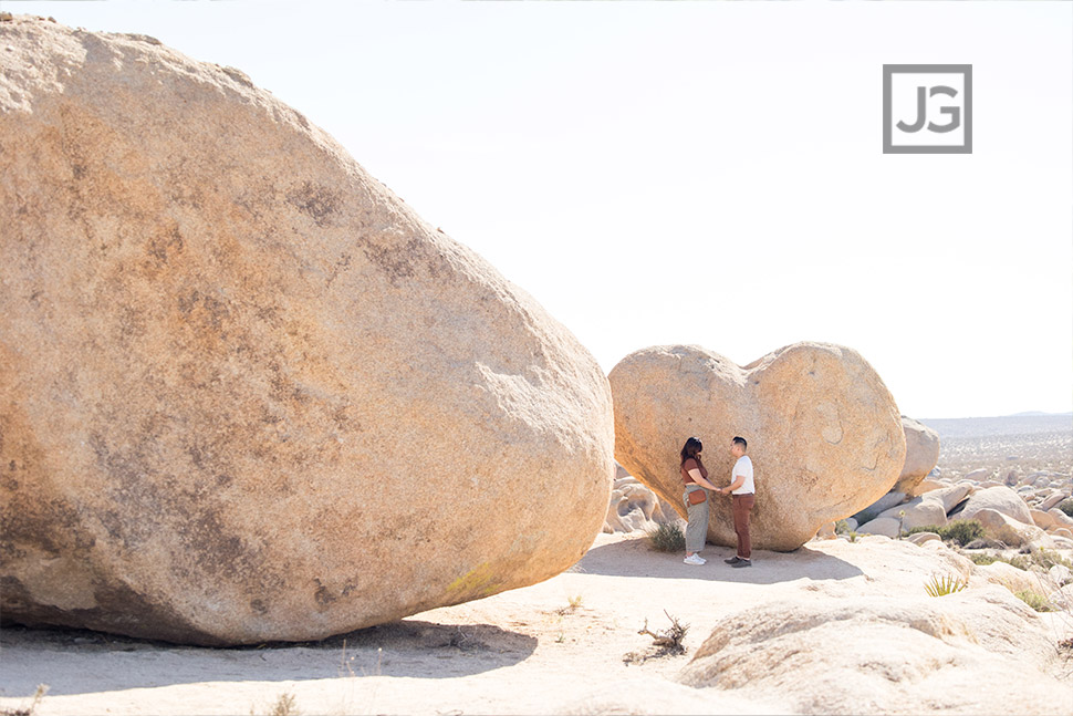 Joshua Tree Proposal