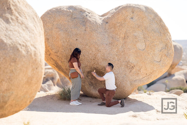 Read more about the article Heart Rock Proposal in Joshua Tree (with Astrophotography)