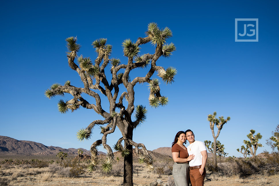 Joshua Tree Engagement Photography