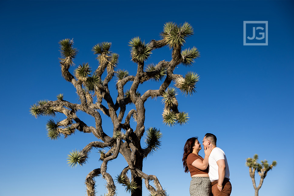 Joshua Tree Engagement Photography