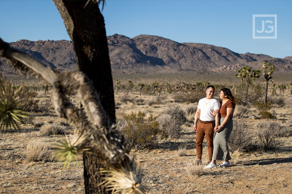 In the desert