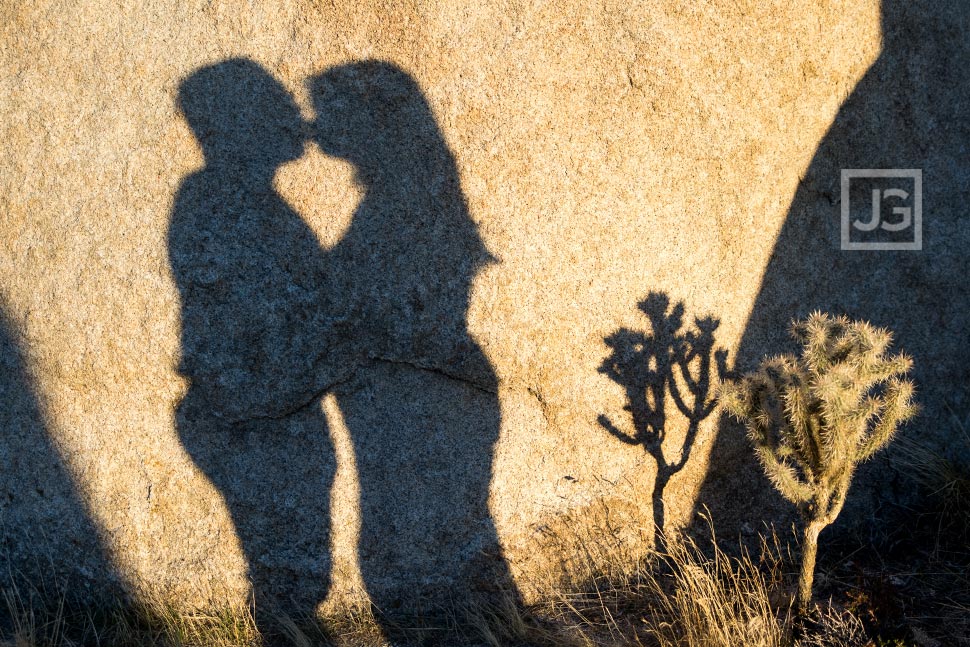 Shadow on a rock