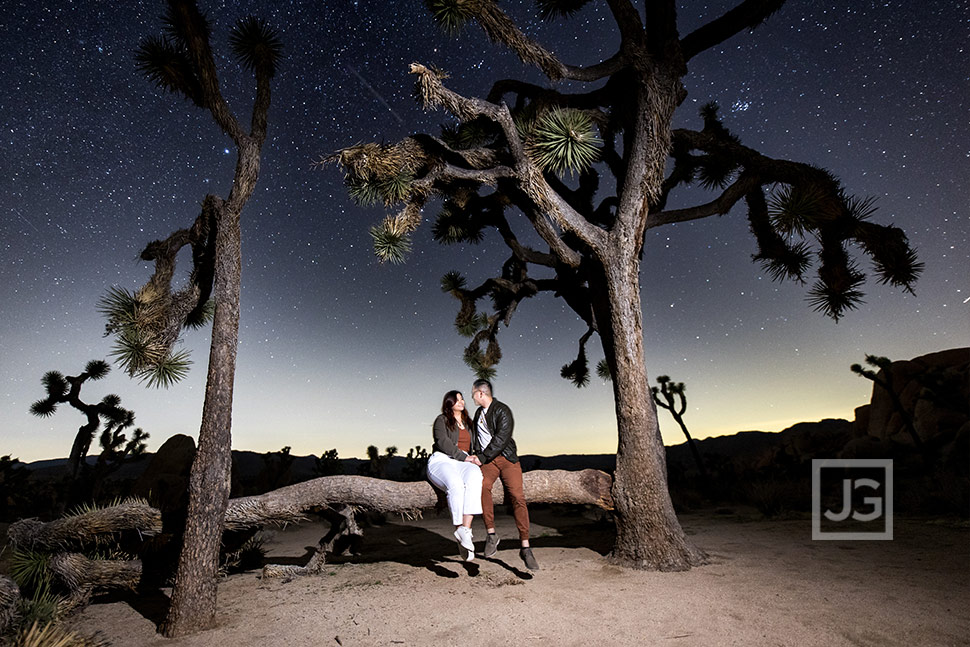 Joshua Tree with Stars