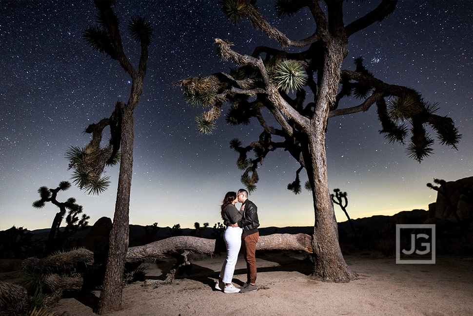 Joshua Tree at Night