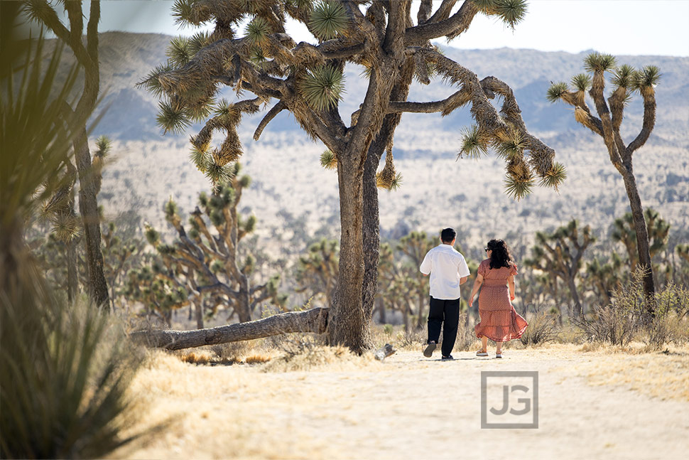 Proposal next to a Joshua Tree