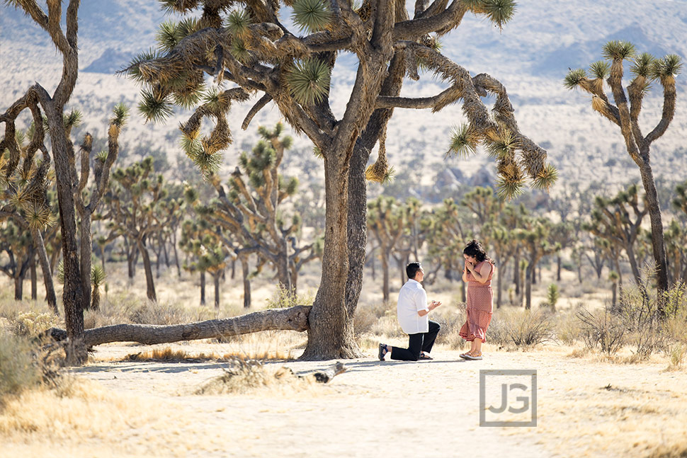 Engagement Proposal