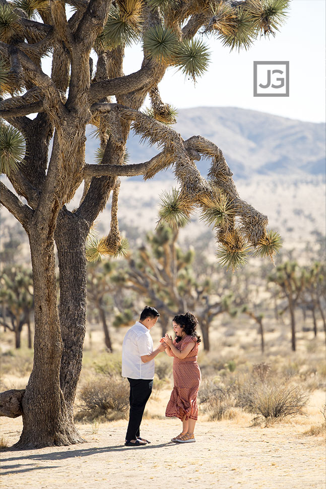 Proposal next to more Joshua Trees