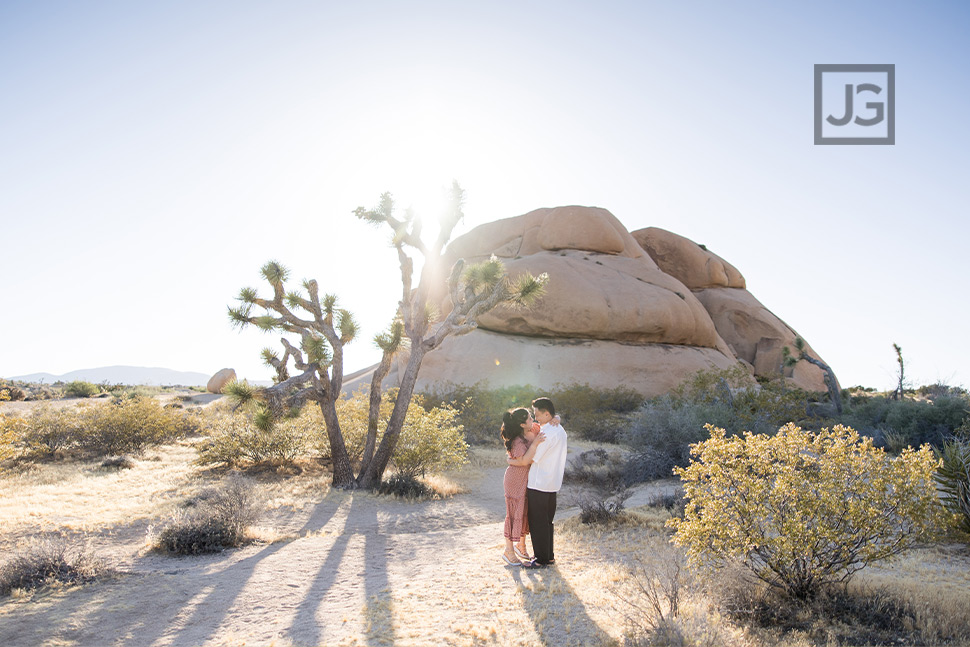 Joshua Tree and Rocks