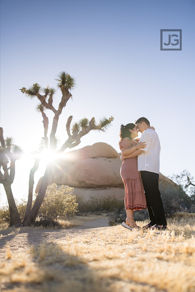 Joshua Tree and Rocks