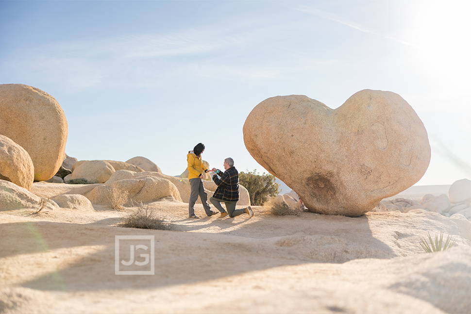 Joshua Tree Proposal