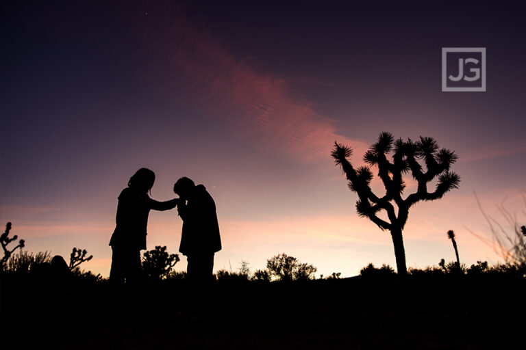 Read more about the article Joshua Tree Proposal and Engagement Photography | AA