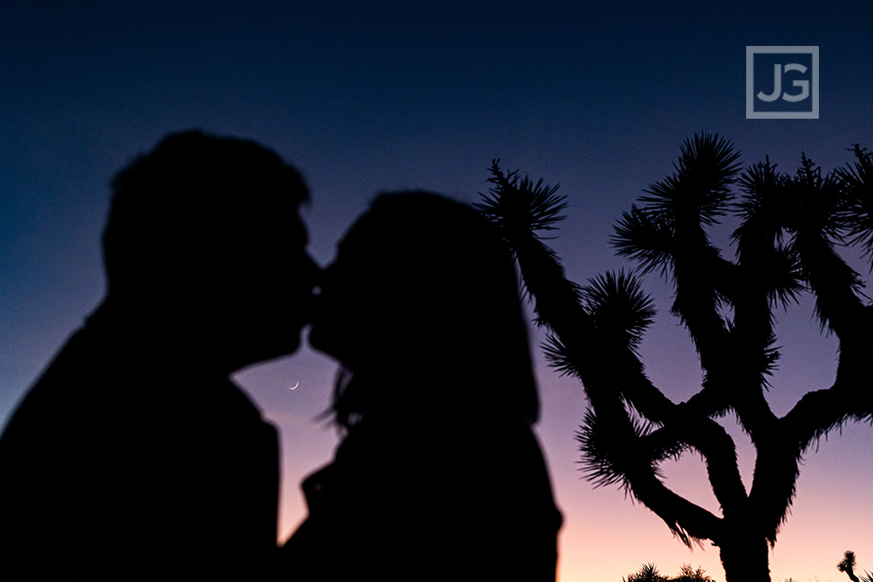 Engagement Photo with Joshua Trees