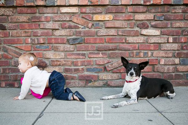 Read more about the article Belmont Shore Family Photography | The Velasco Family