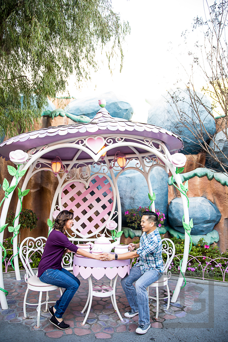 Toontown Engagement Photography