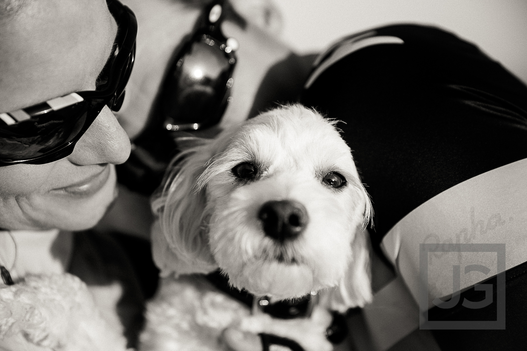 Engagement Photography Cycling in Malibu Canyon with Dog