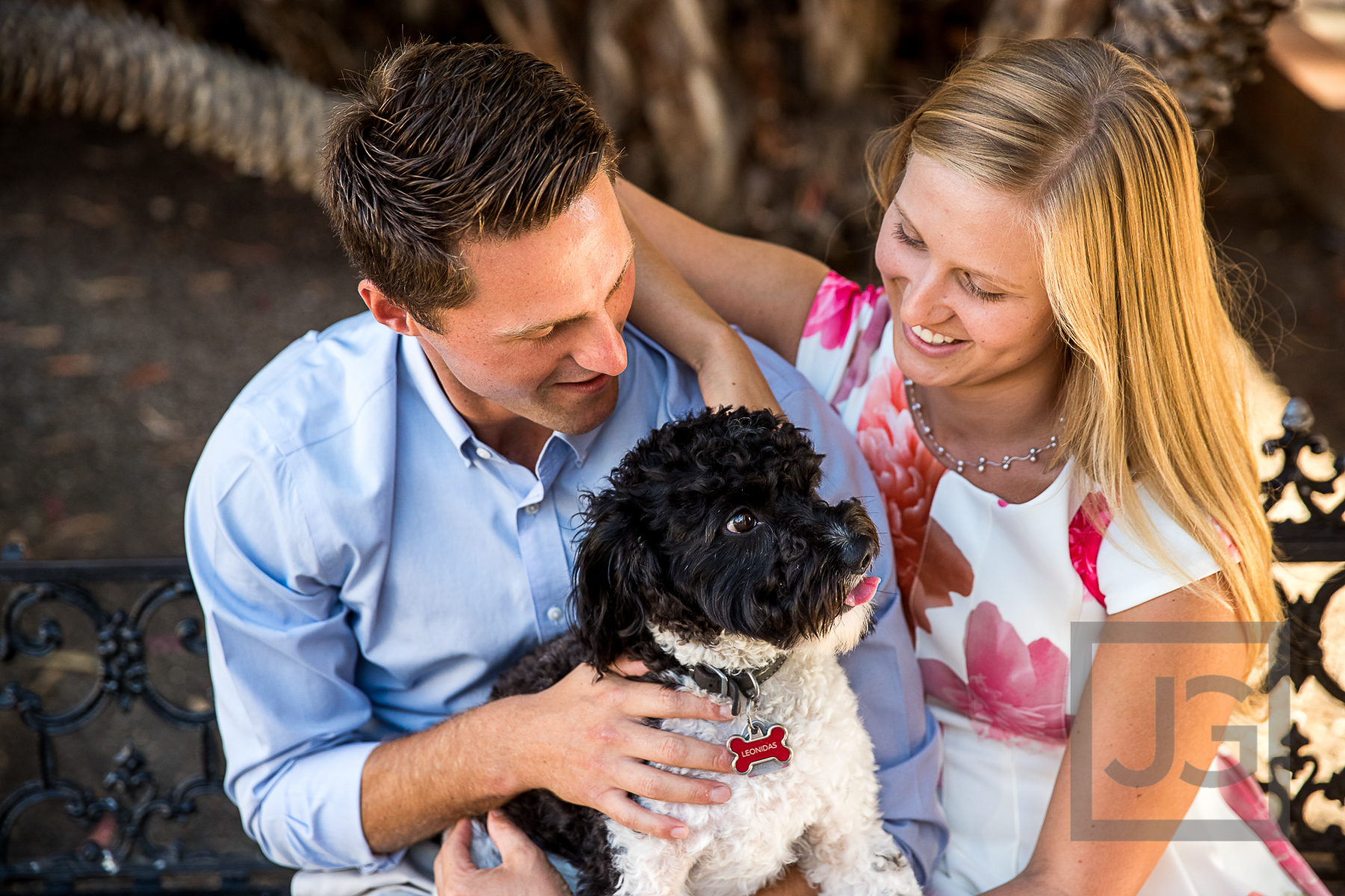 Engagement Photography with Dog
