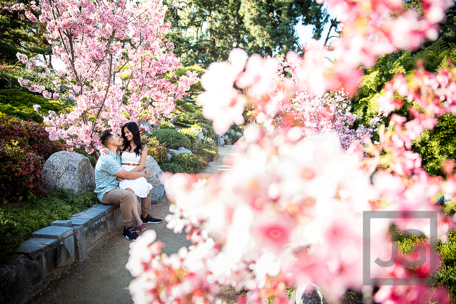 Cherry Blossoms Engagement Photos Huntington Library 