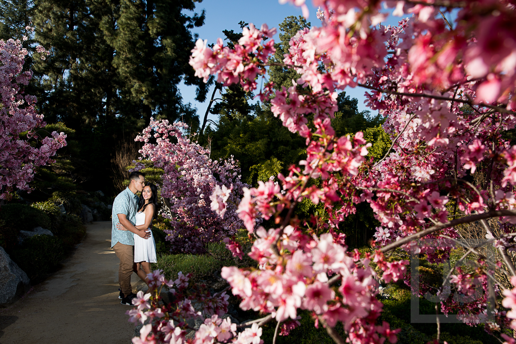 Engagement Photography Huntington Library Cherry Blossoms