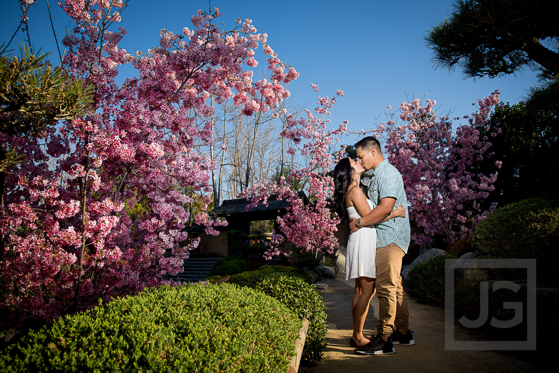 Engagement Photography Huntington Library Cherry Blossoms