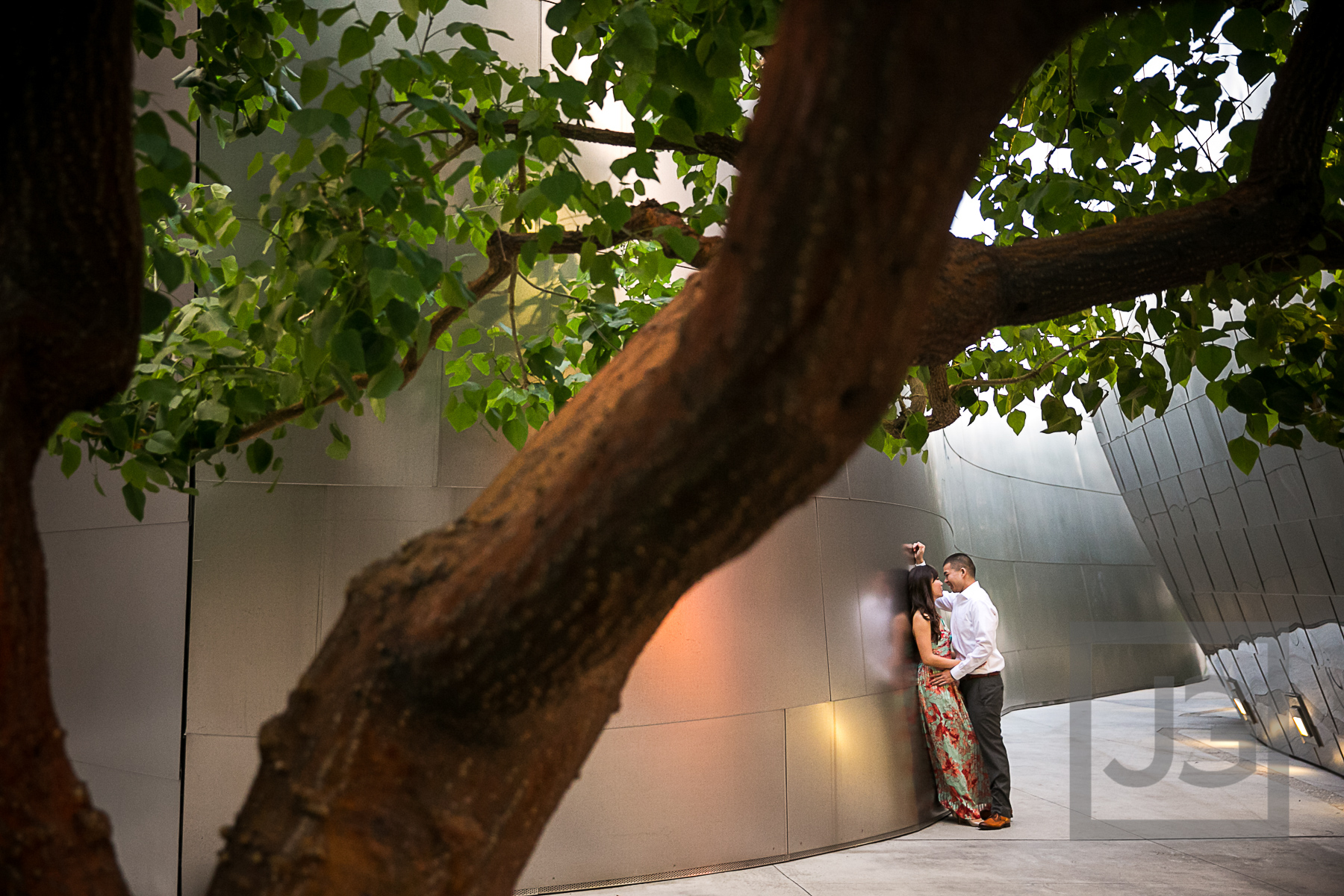 Walt Disney Concert Hall Engagement Photos Garden Level