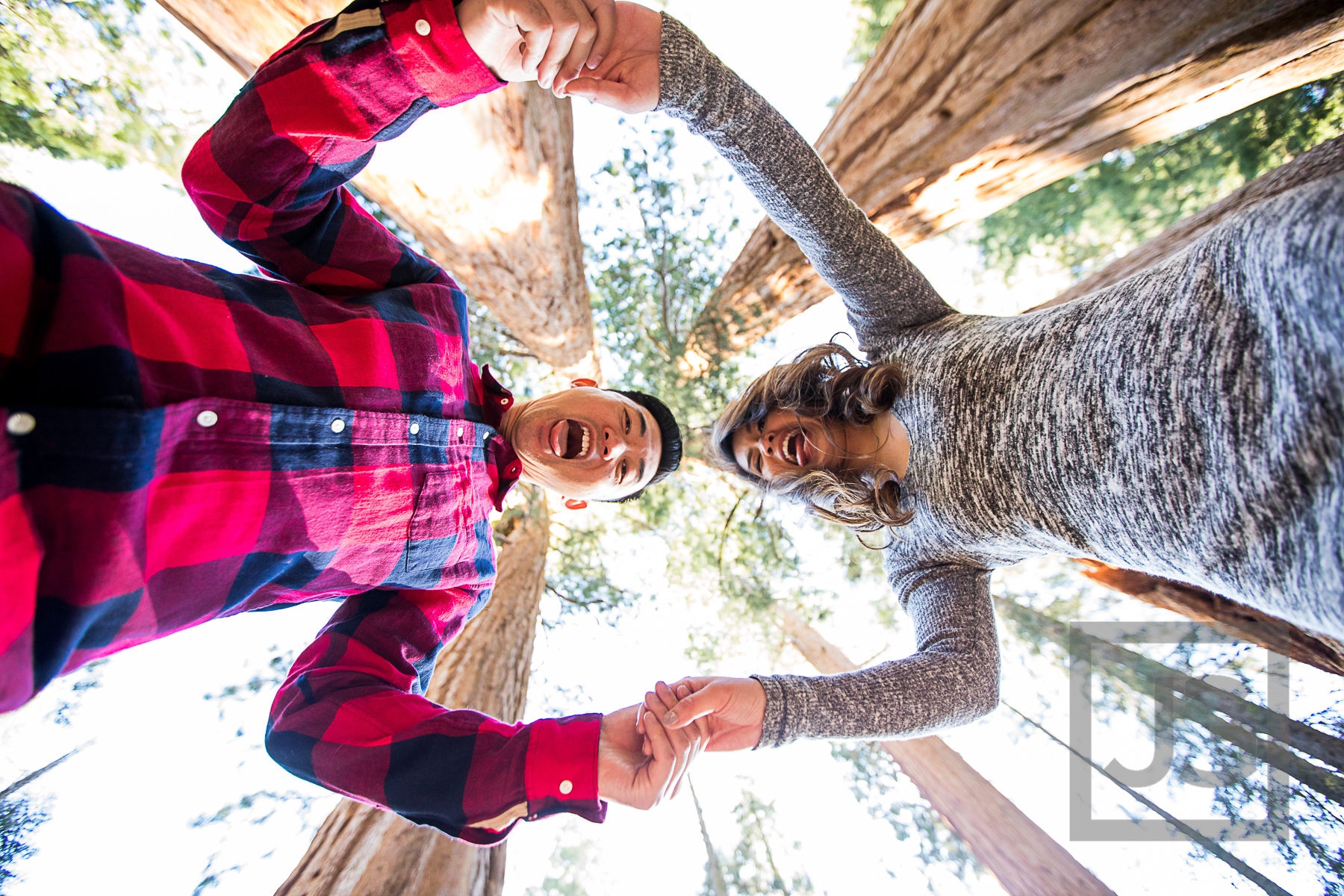 Sequoia engagement photography