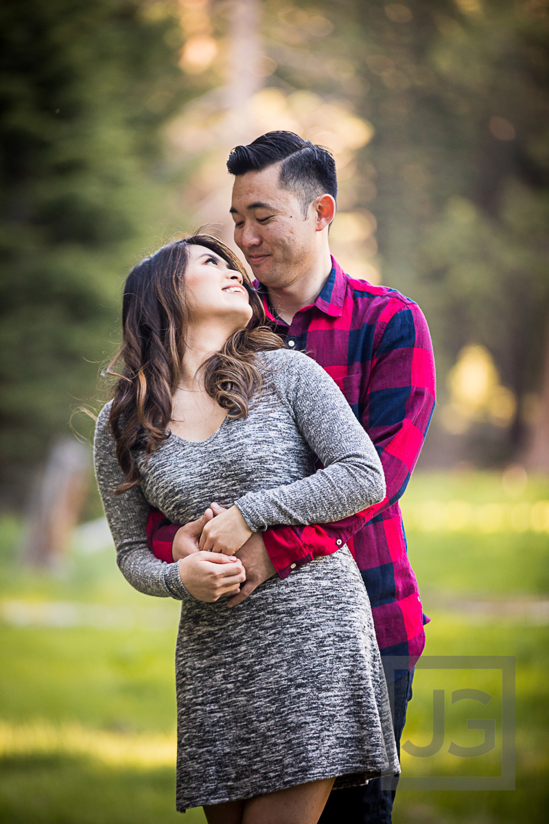 Sequoia engagement photography